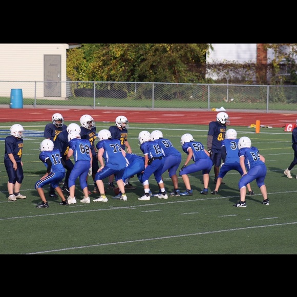 Meet your Posher, Joey - Picture 1 of 1